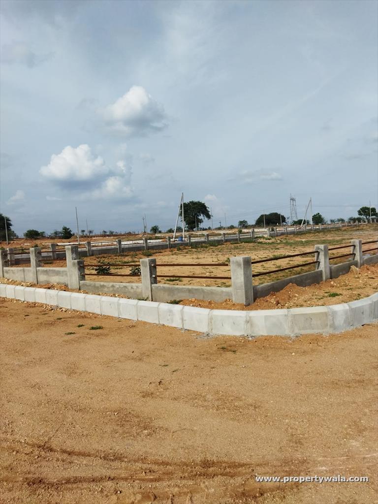 Axia GreenNest plot view